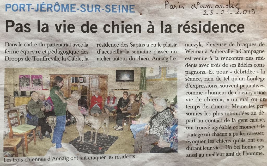 De La Tribu De Dourga - Nos chiens en visite dans une résidence senior